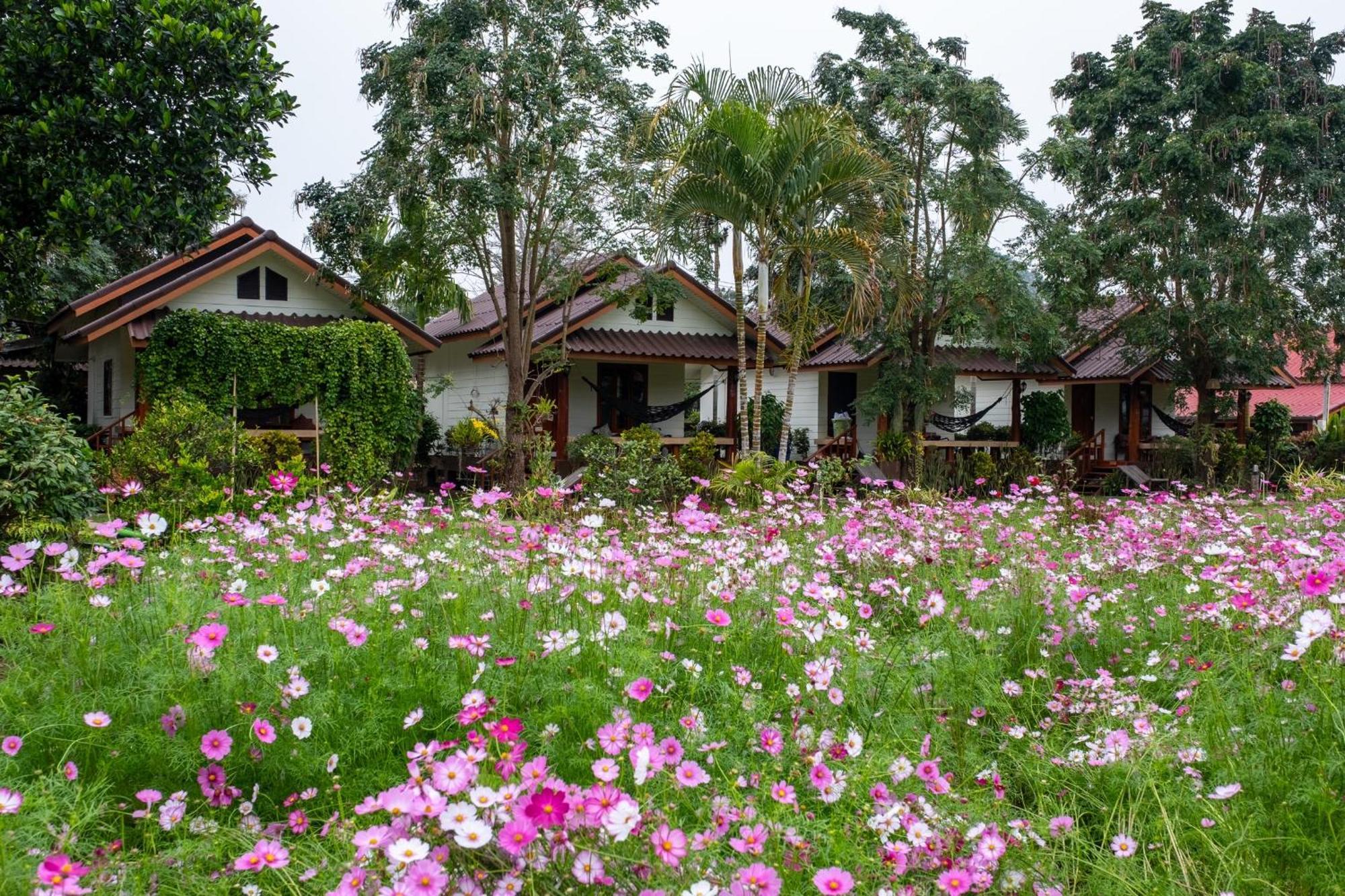The Nest House Pai