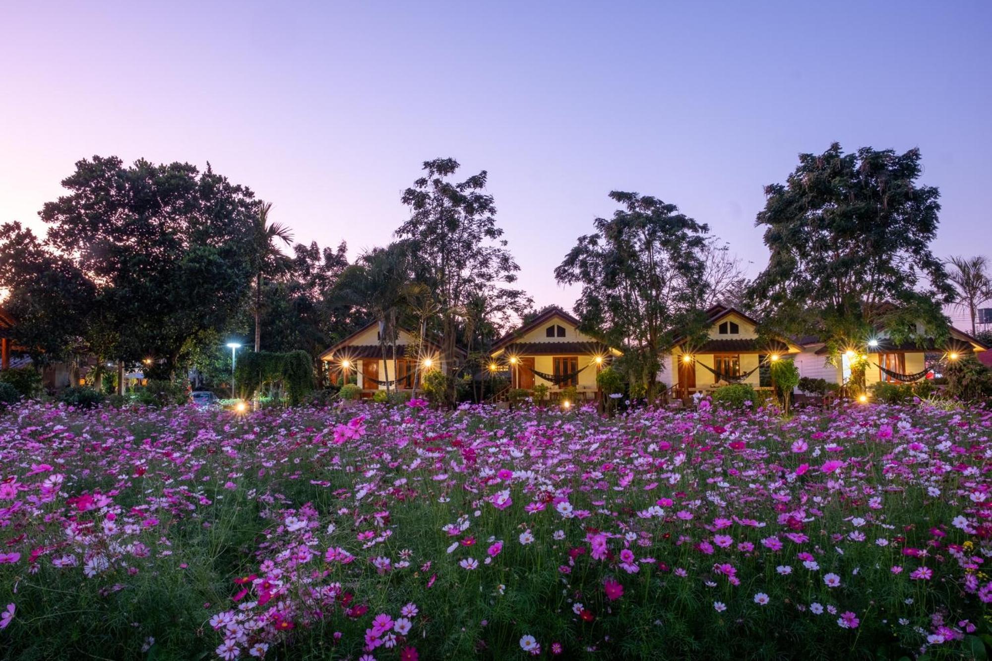 The Nest House Resort