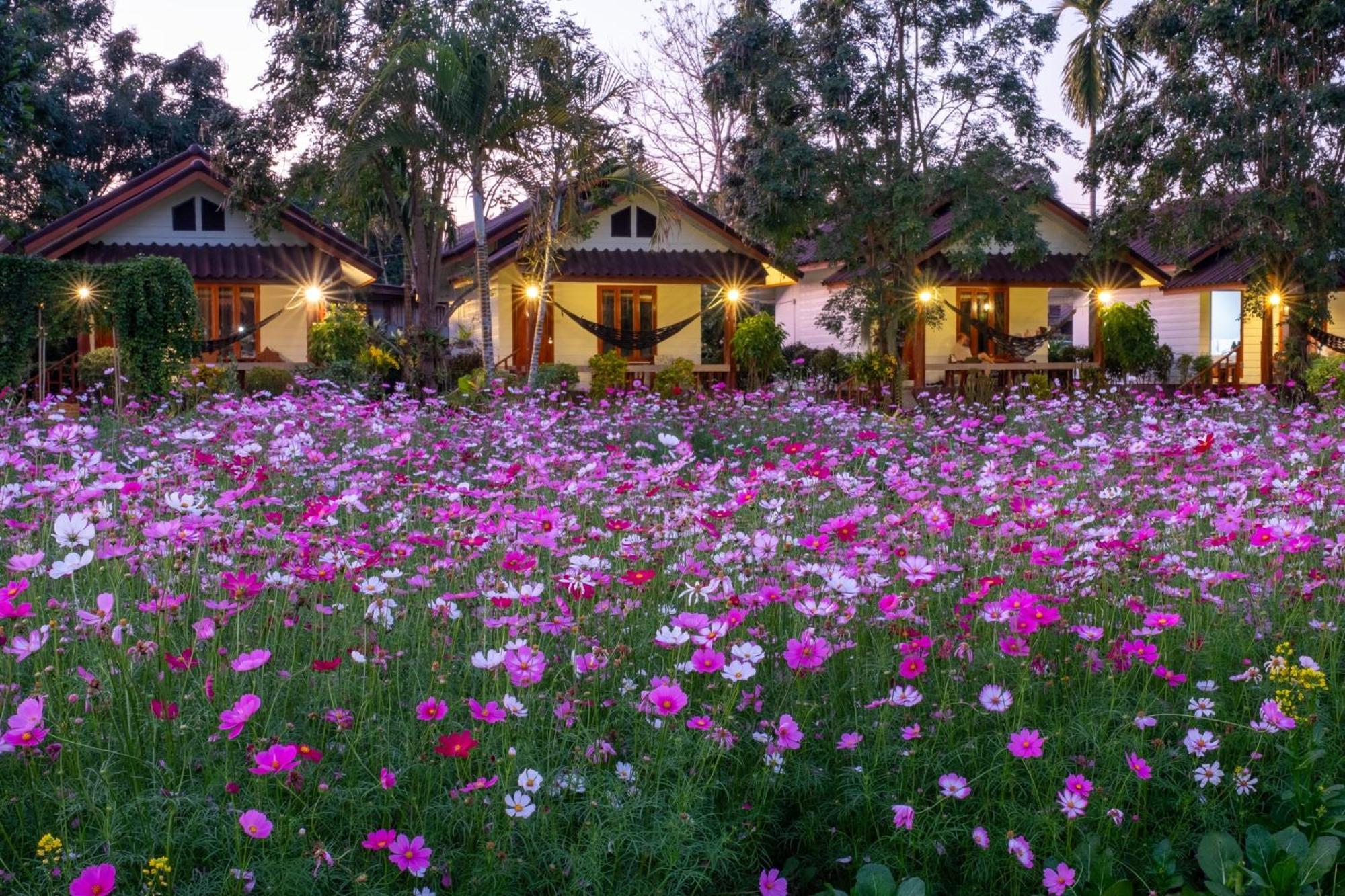 The Nest House Resort *