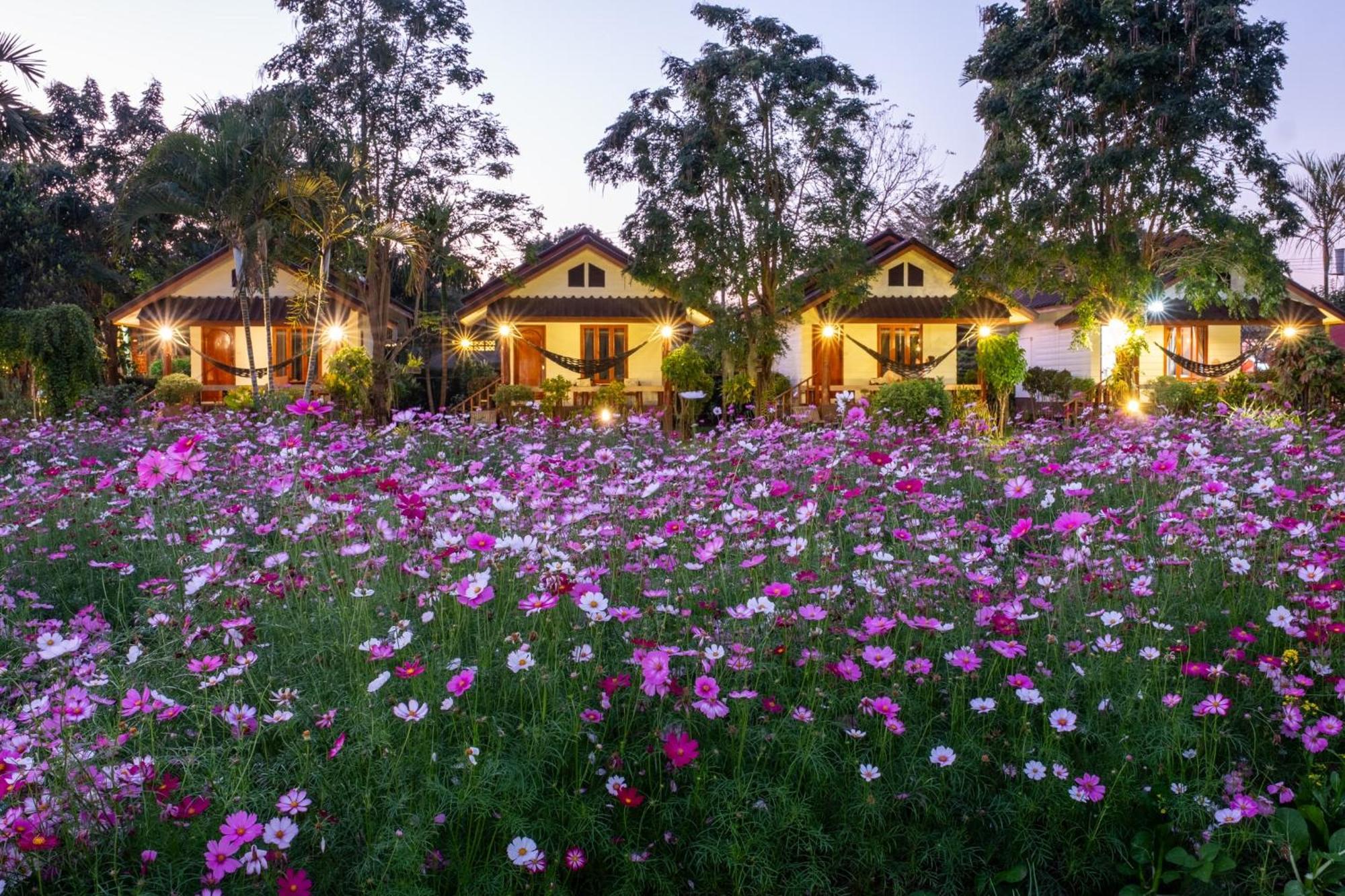 The Nest House Resort Pai