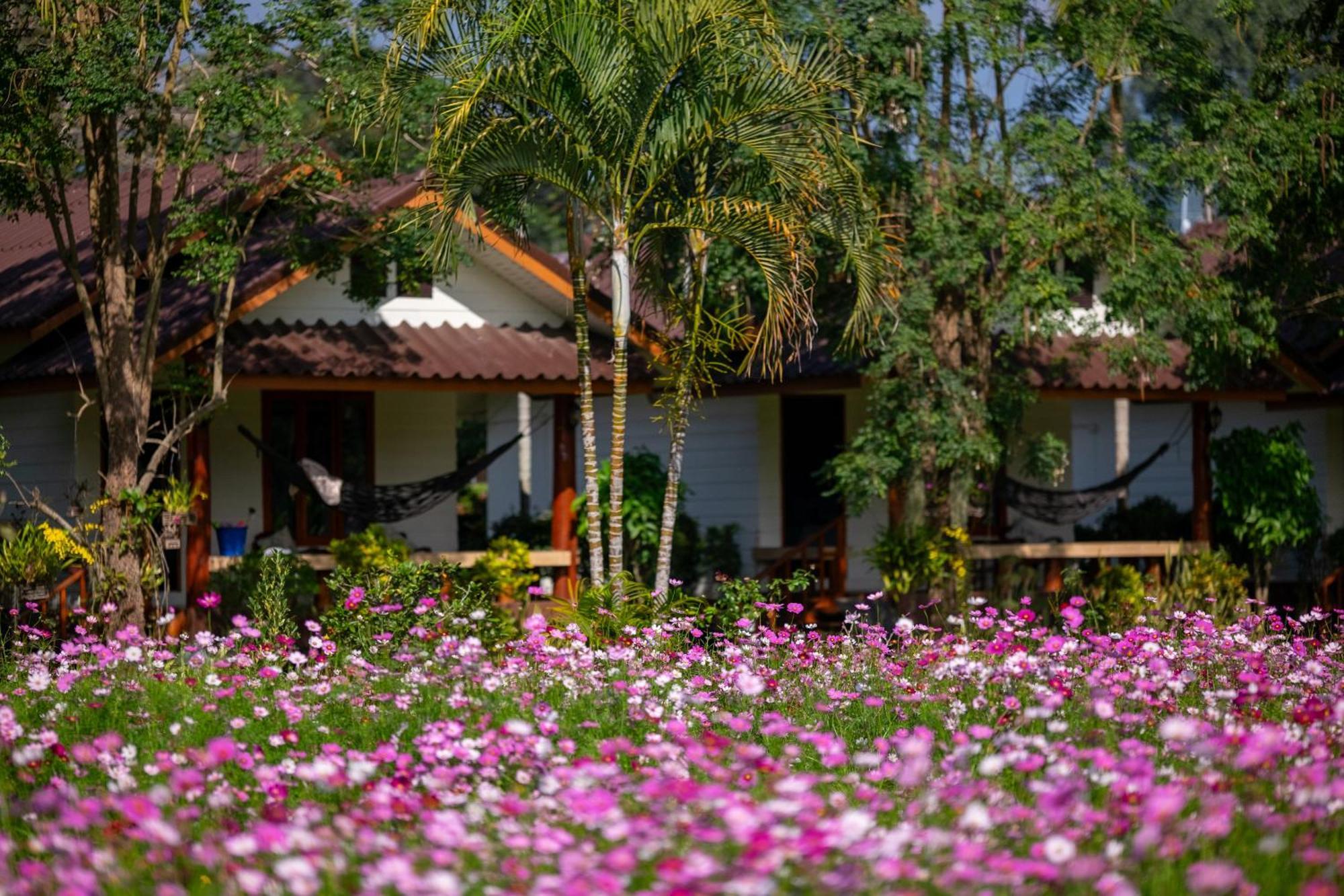 Resort The Nest House