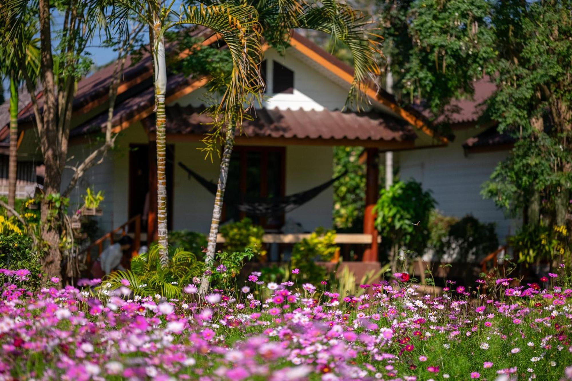 The Nest House * Pai