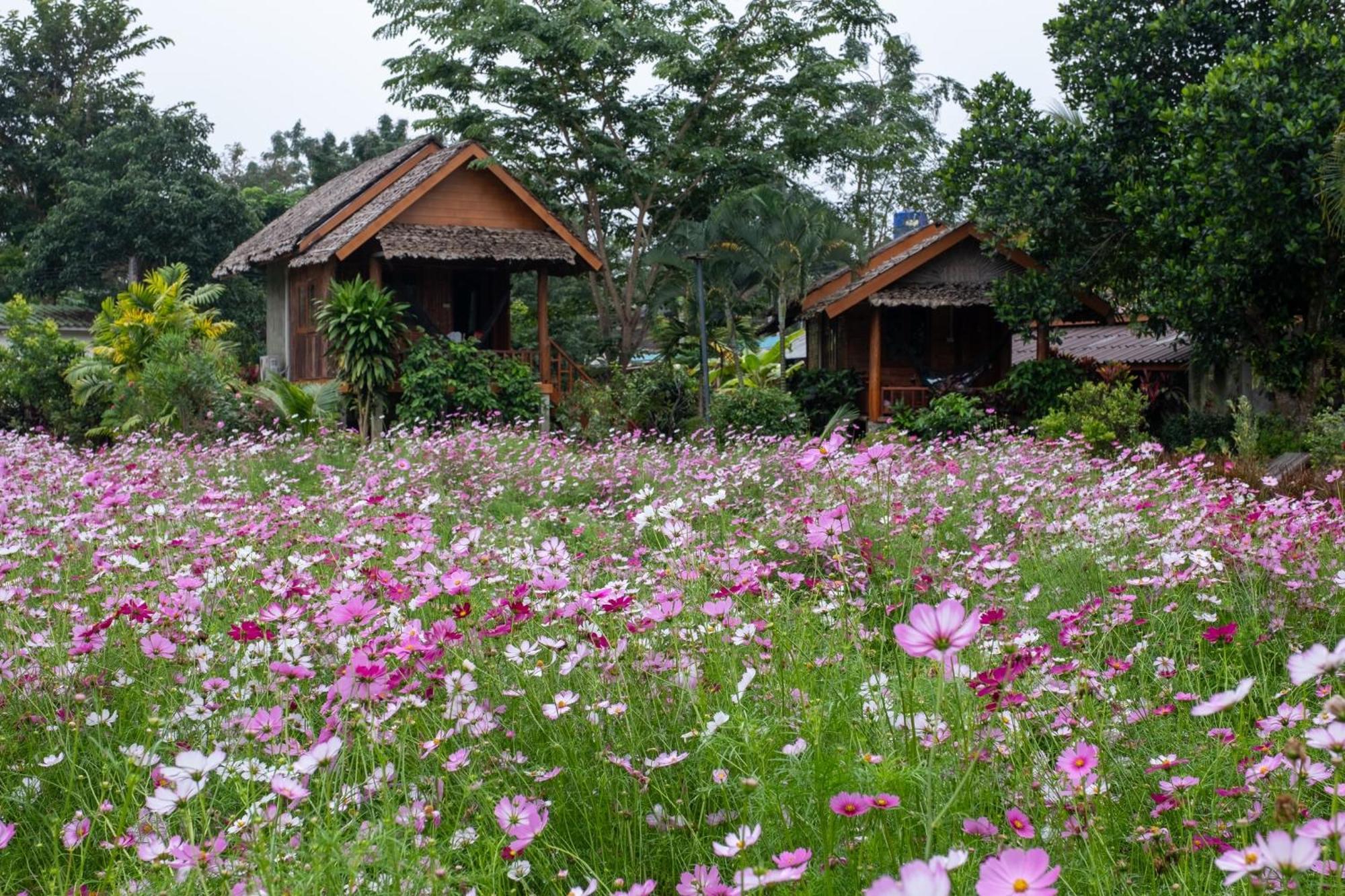 Resort The Nest House