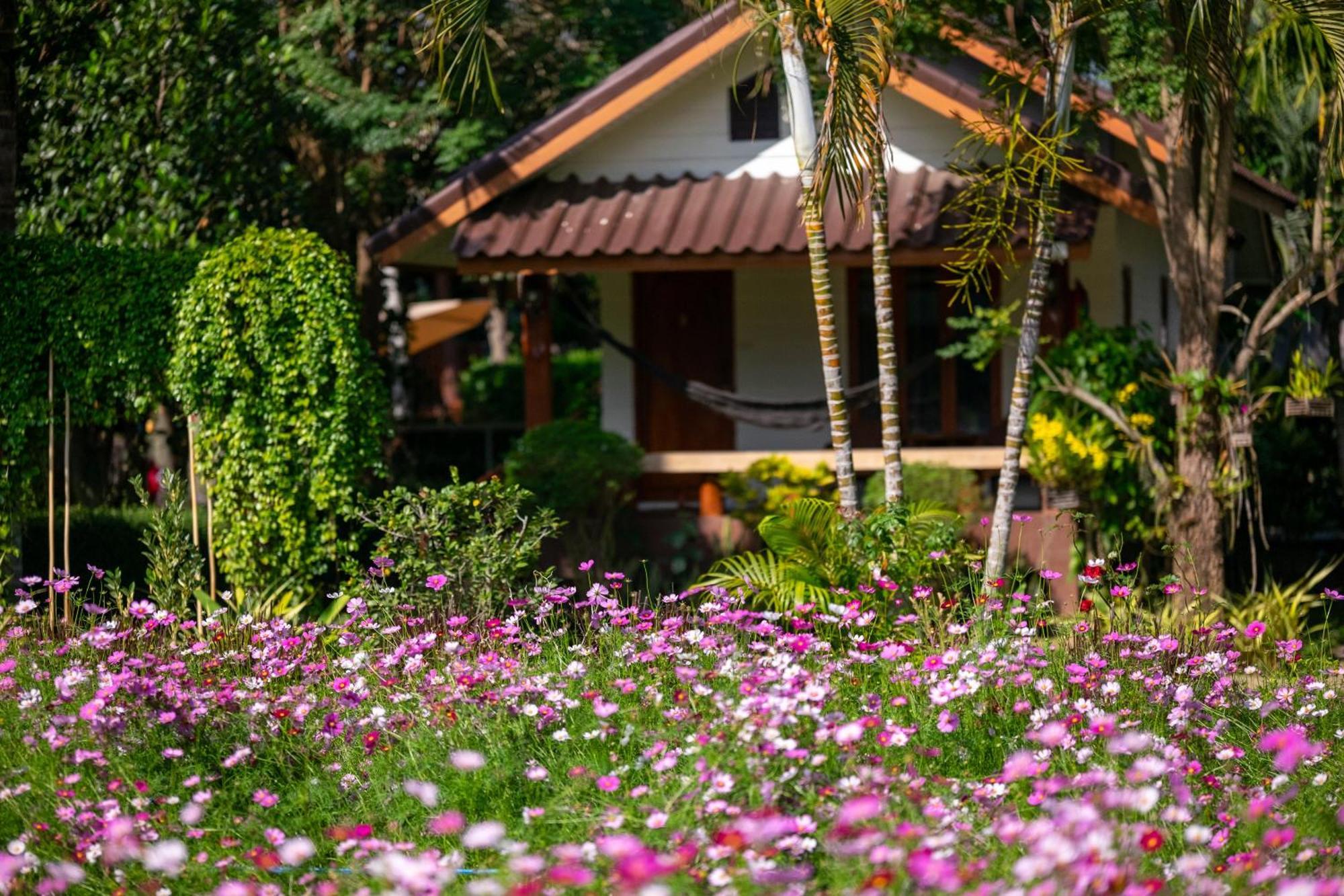 Resort The Nest House *