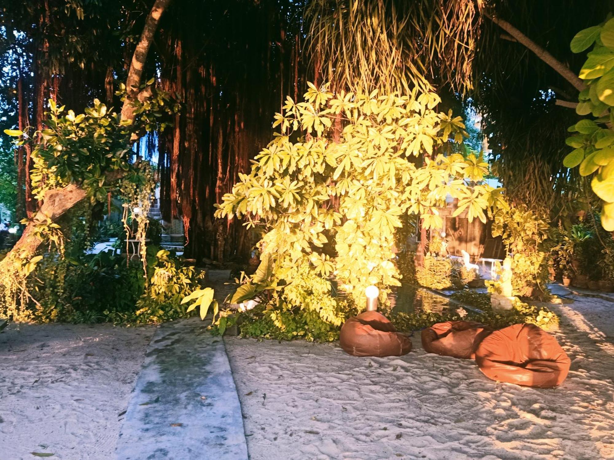 Anodash Homestay *