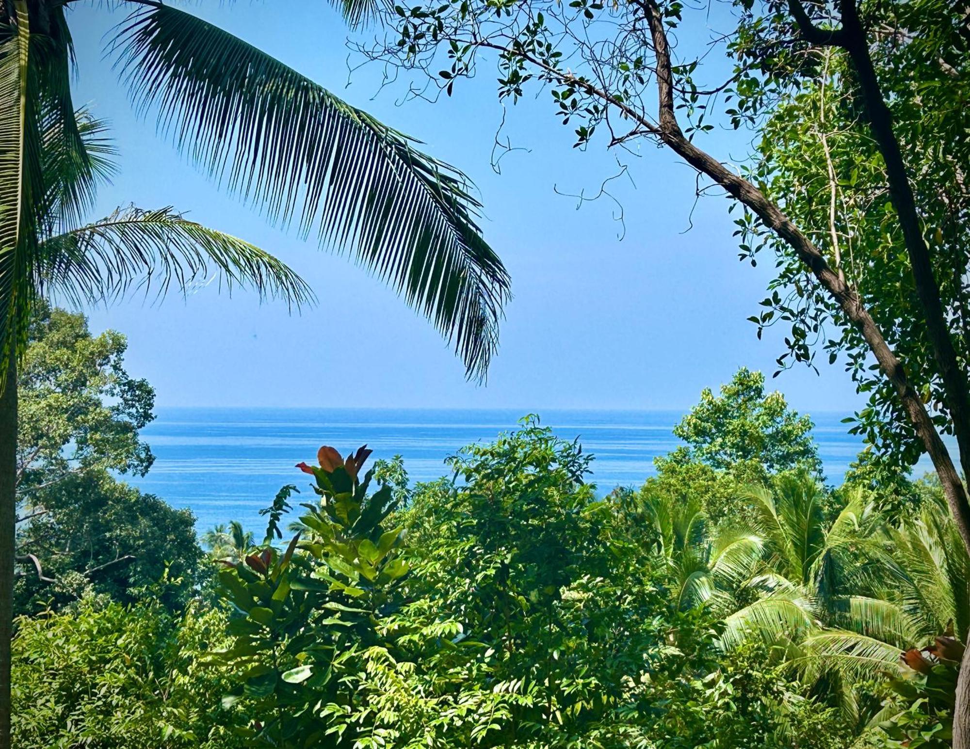 Kalani, *