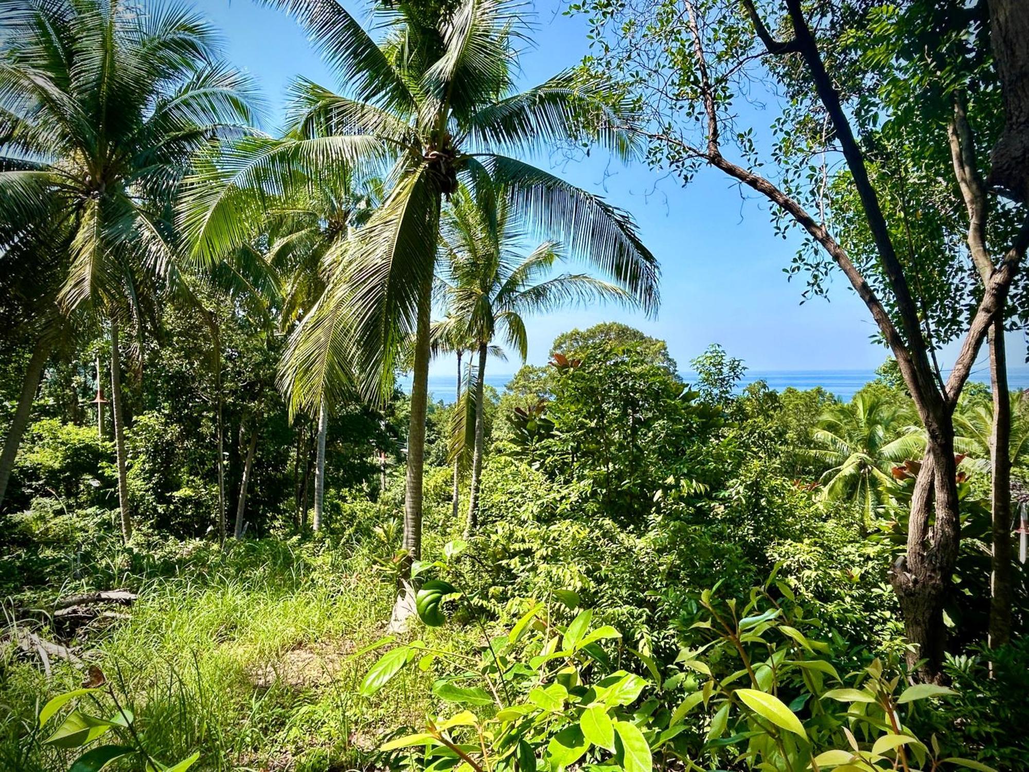 Holiday home Kalani, *