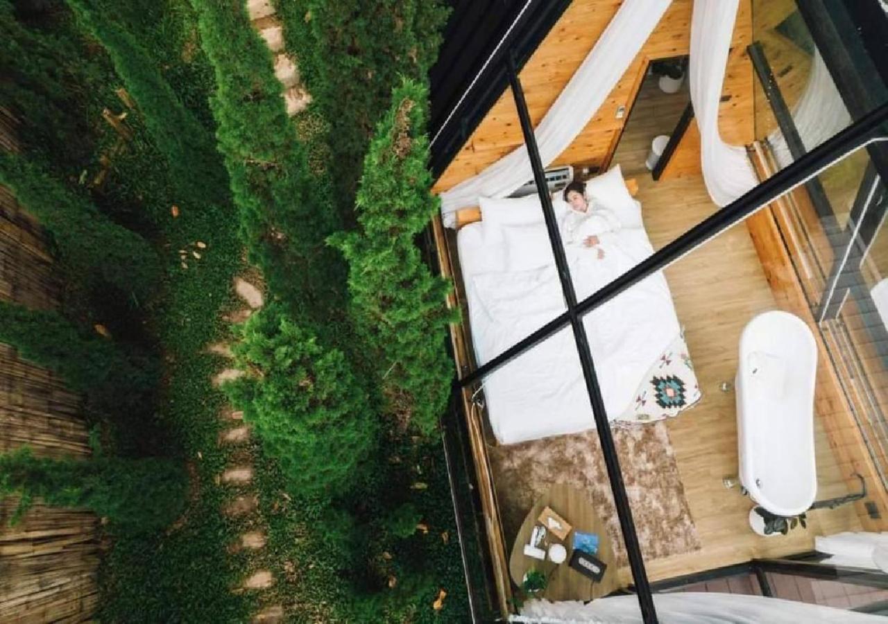 Morning Star Glamping Resort *