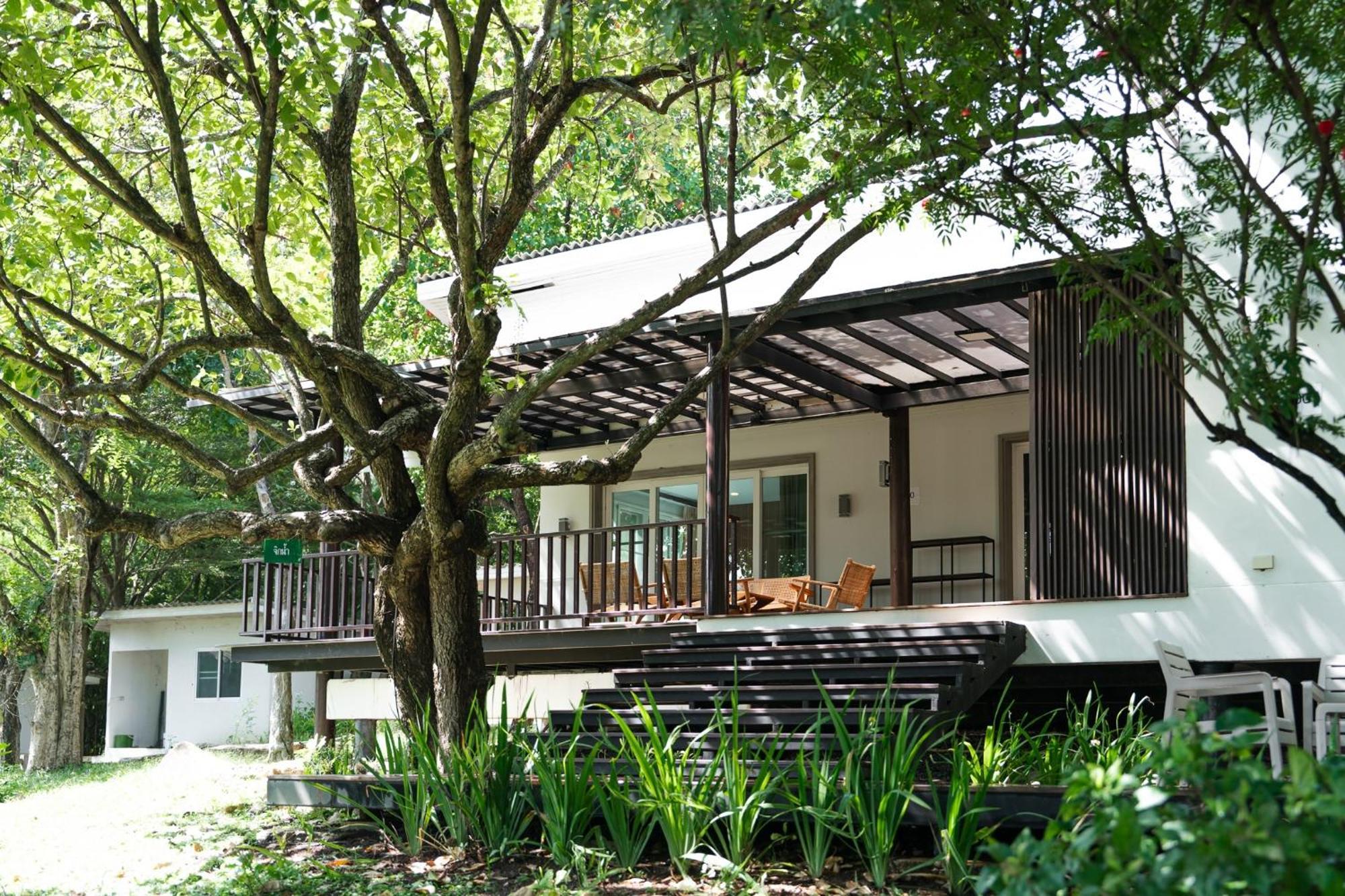 Resort Wonder Mountain