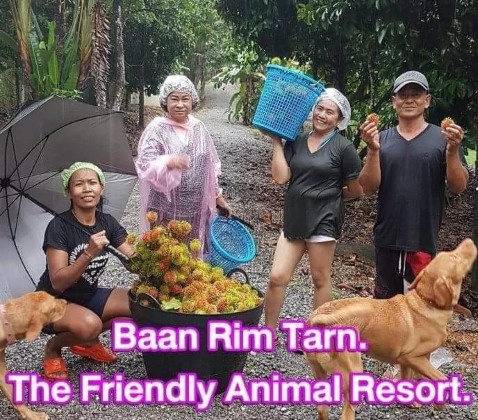 Bed & Breakfast Baan Rim Tarn Takuapa