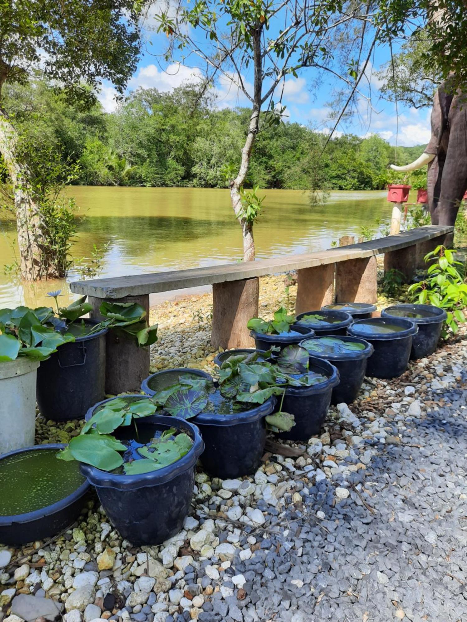 Baan Rim Tarn *