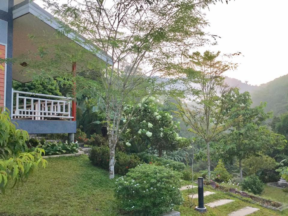 Bangnu Greenery * Takua Thung