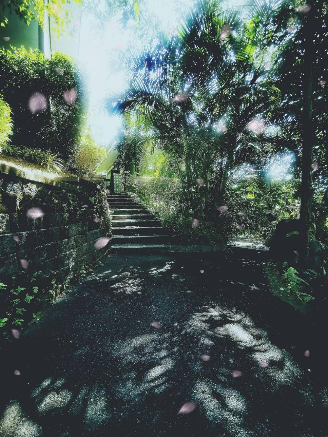 Bangnu Greenery *