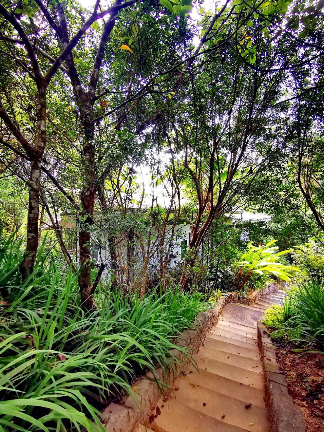 Bangnu Greenery Resort *