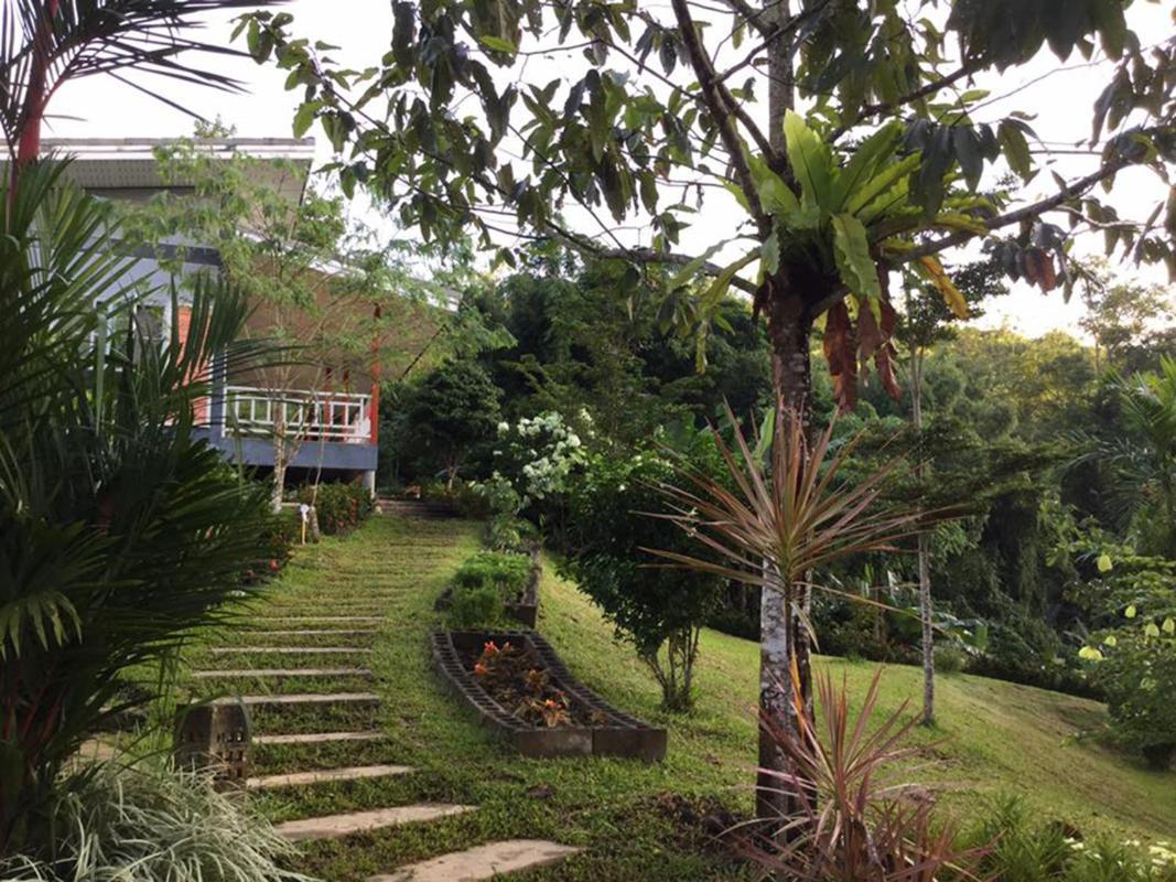 Bangnu Greenery * Takua Thung