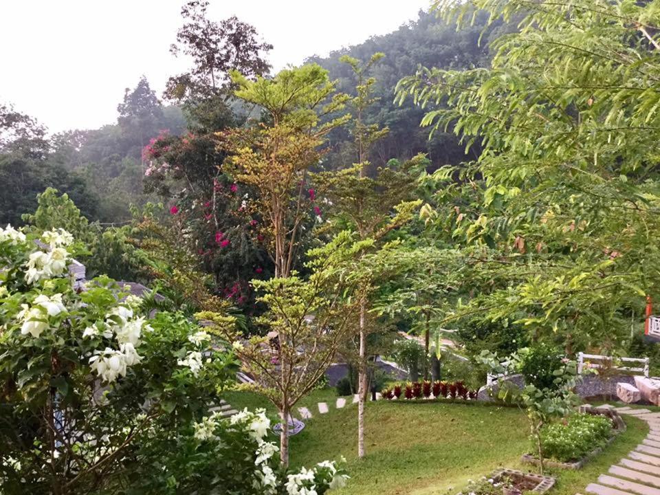 Bangnu Greenery