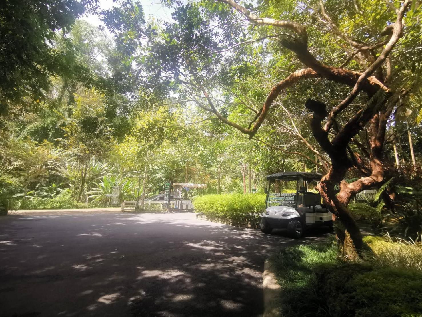 Bangnu Greenery * Takua Thung