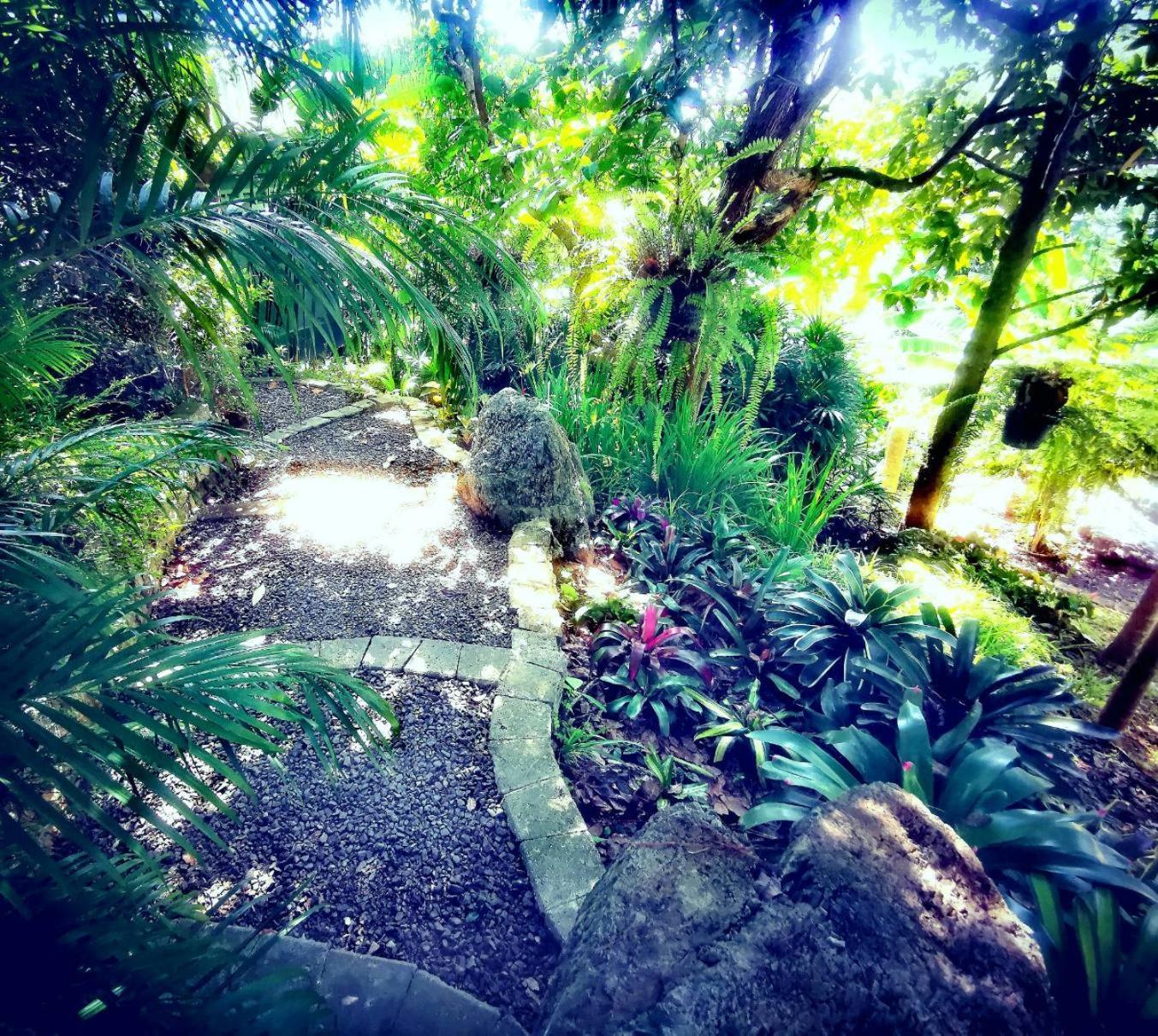 Bangnu Greenery Takua Thung