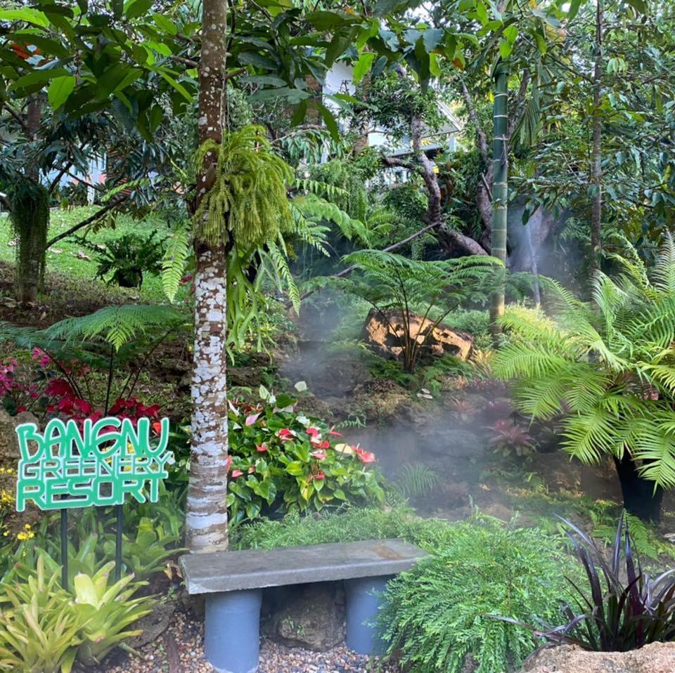 Bangnu Greenery