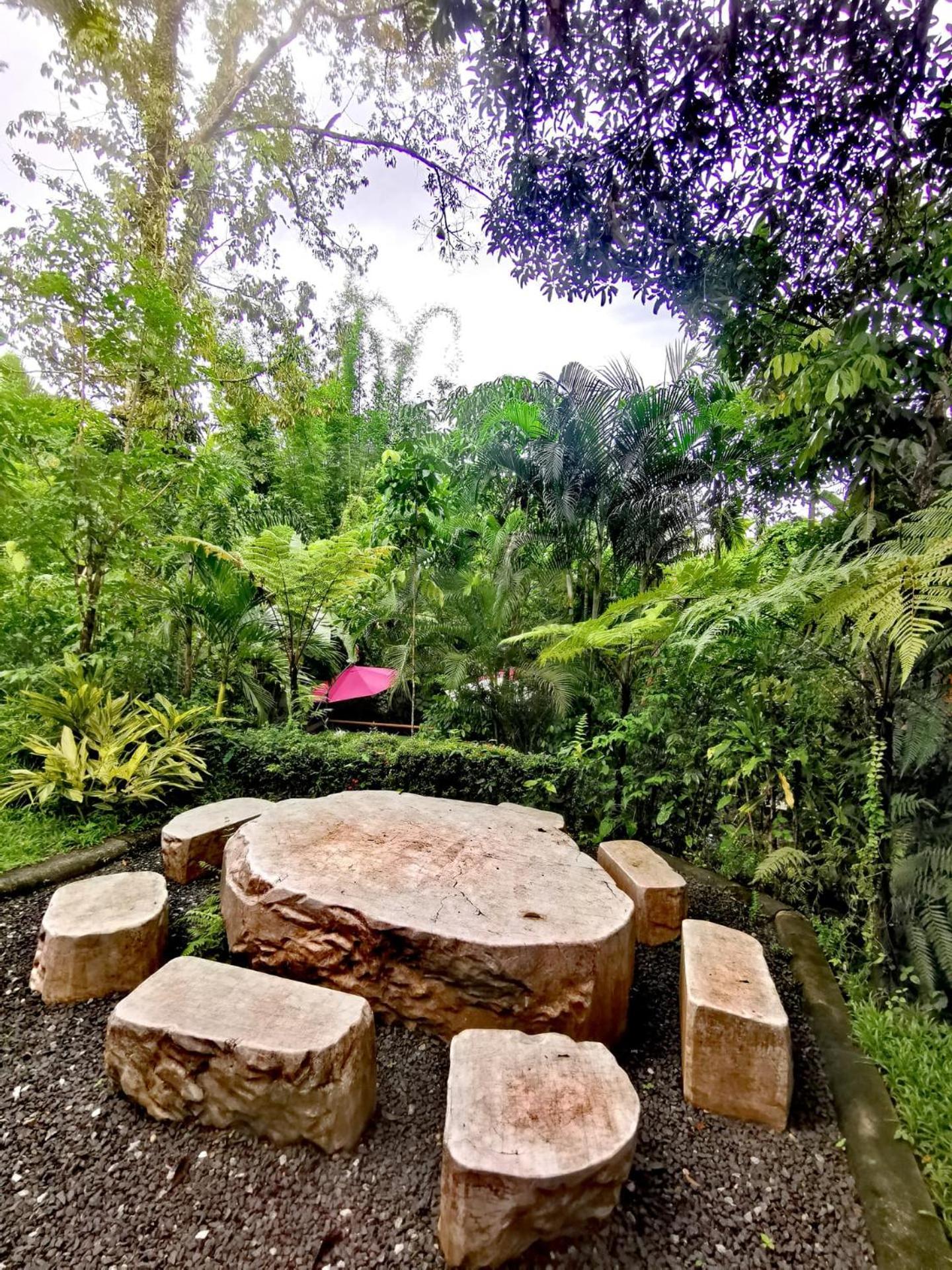 Bangnu Greenery * Takua Thung