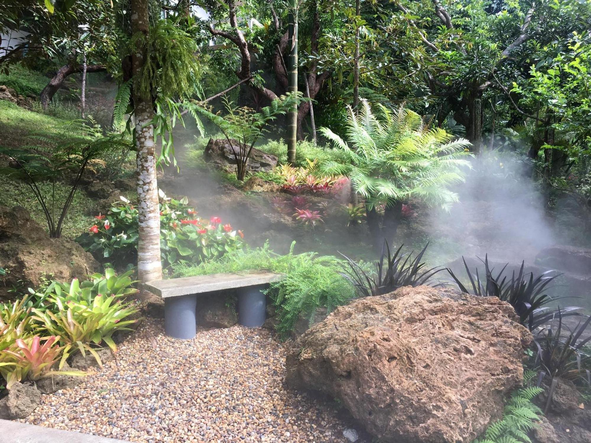 Bangnu Greenery Takua Thung