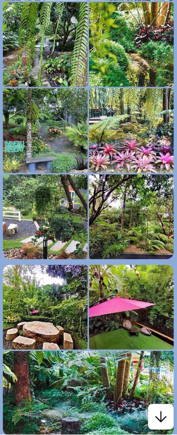 Bangnu Greenery *