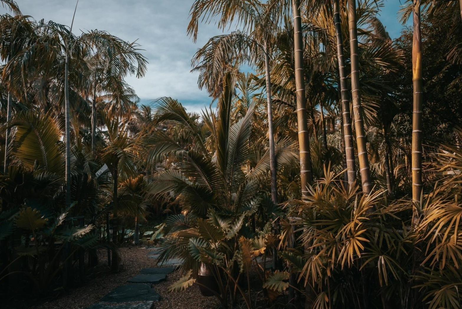 Resort Thammachard29 Baangrood