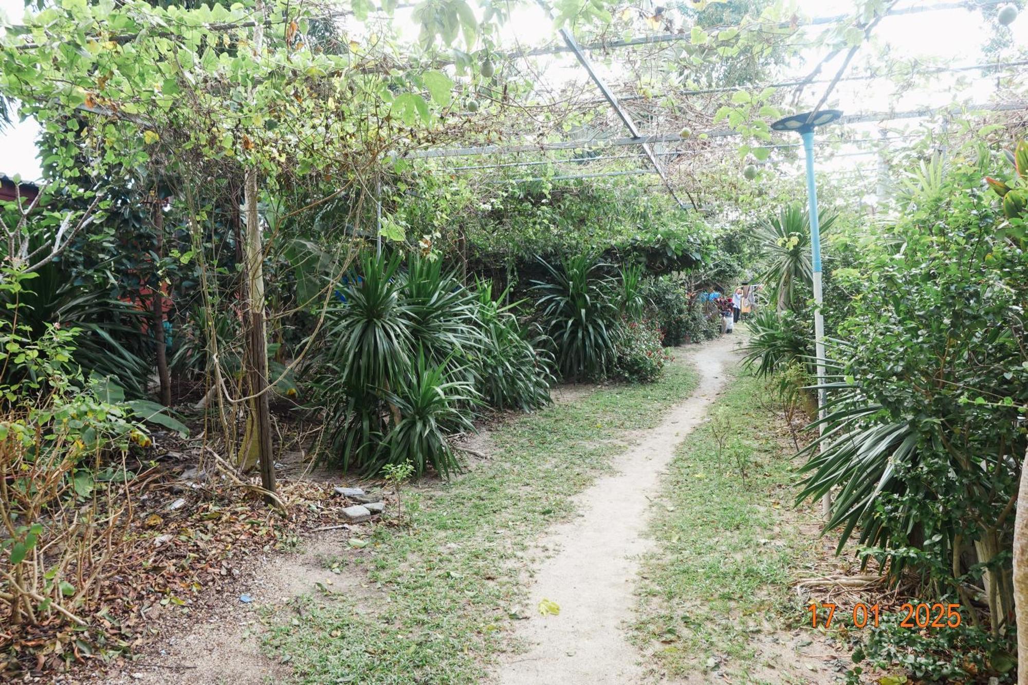 Subsavet Village Hostel Ko Pha Ngan