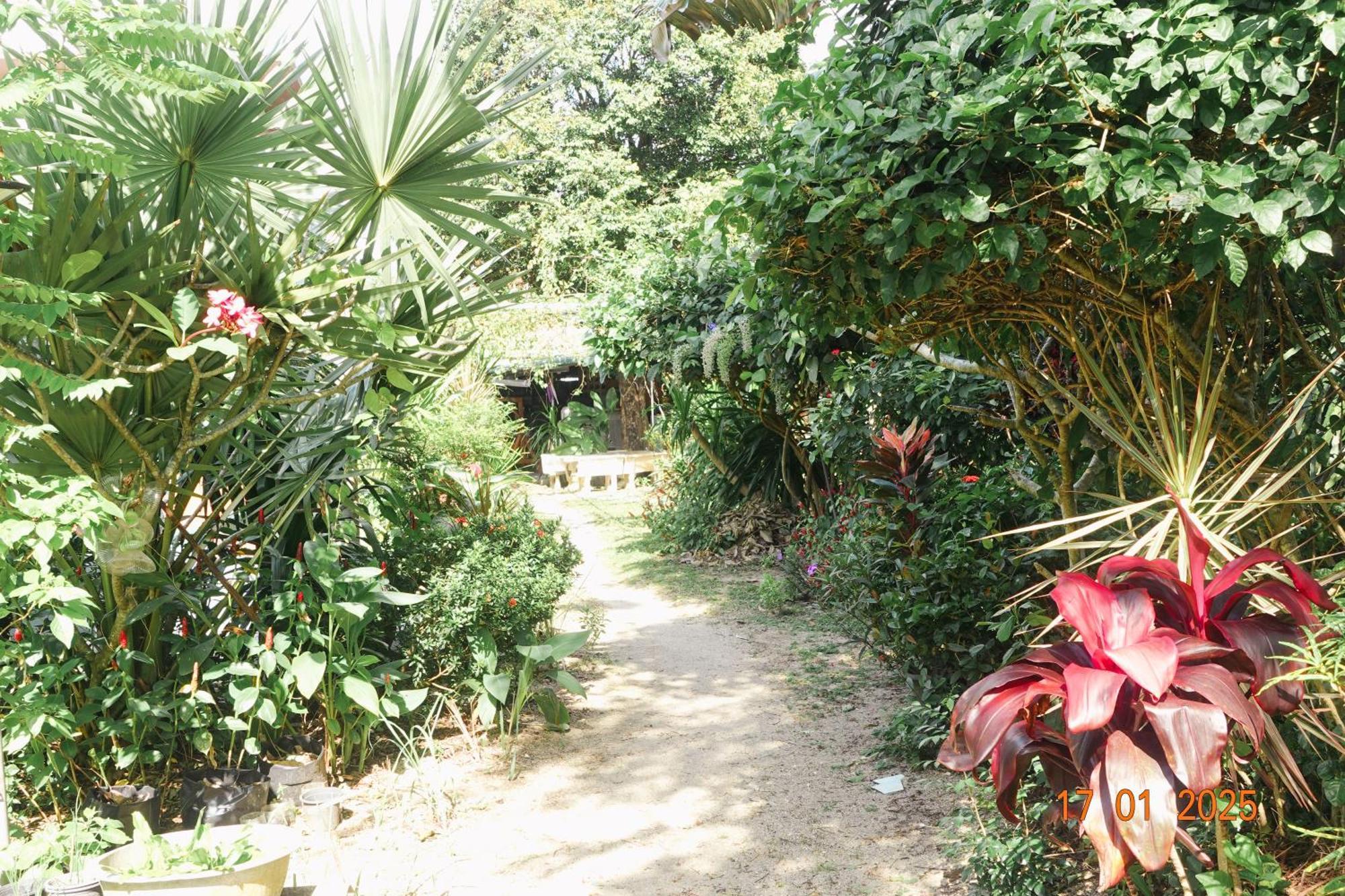 Subsavet Village Ko Pha Ngan