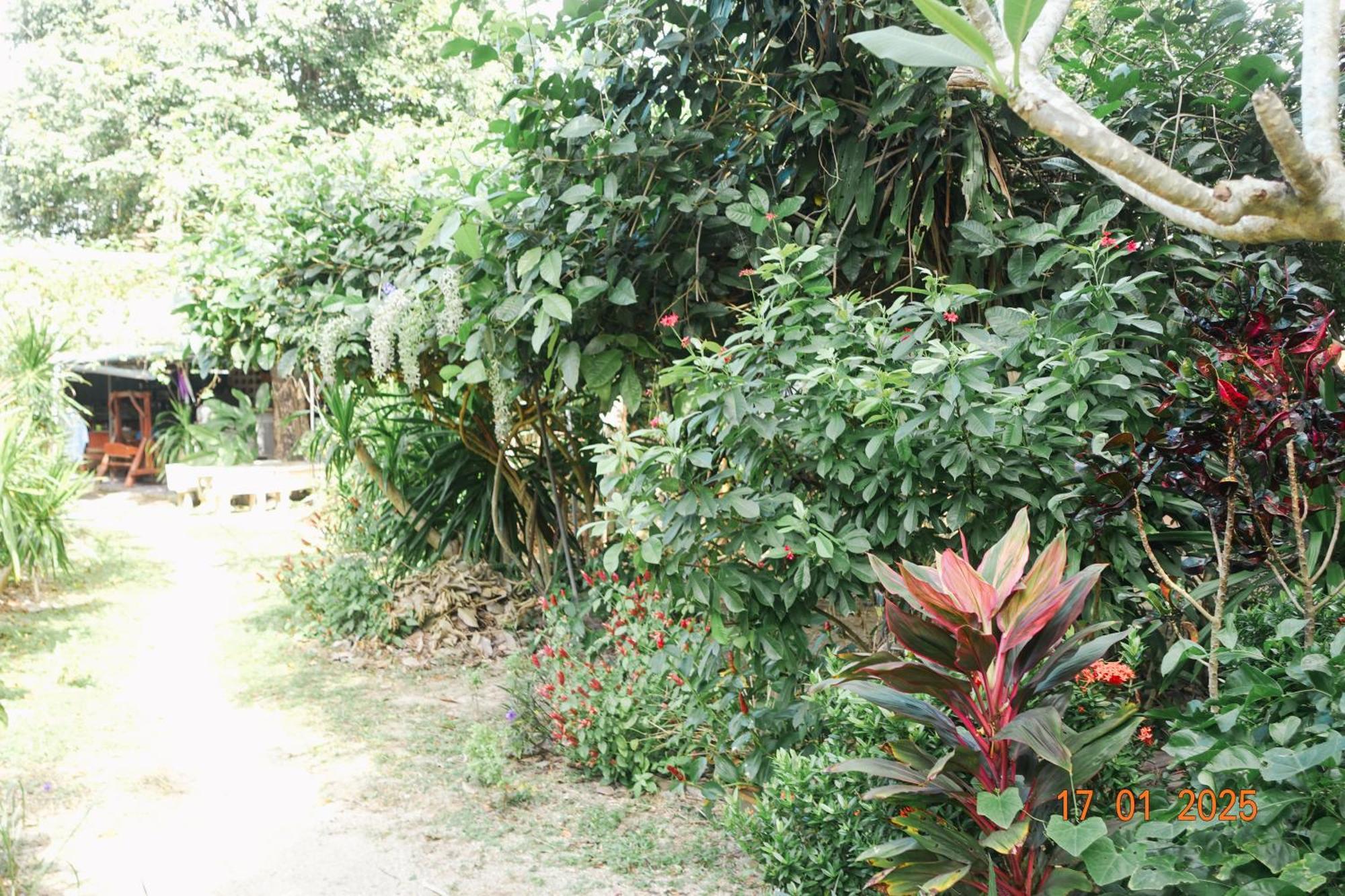 Hostel Subsavet Village *