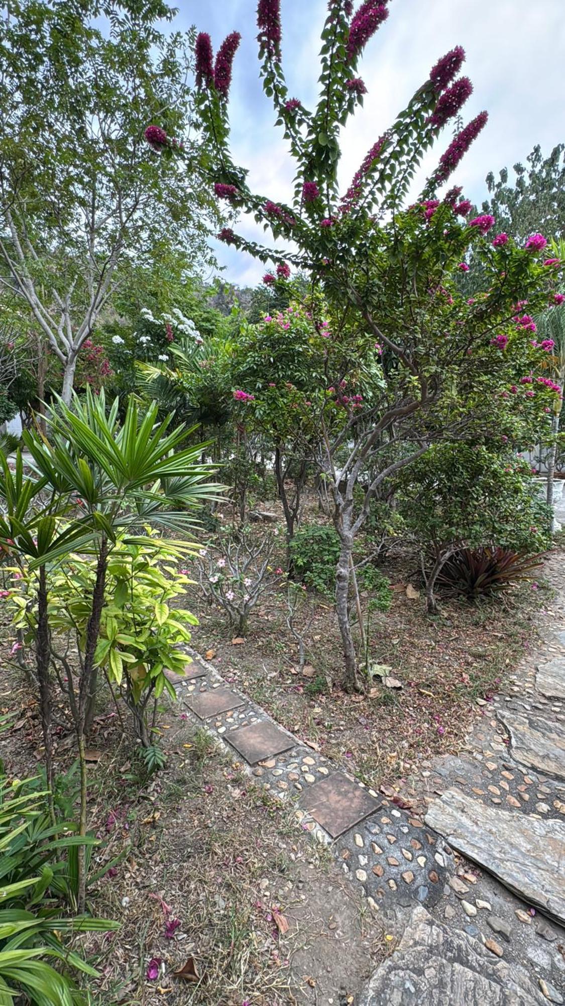 Phurang Hill Resort Kanchanaburi