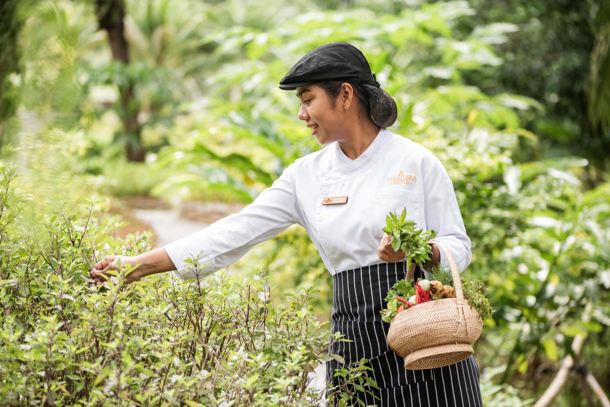 Anantara Koh Yao Yai & 5*