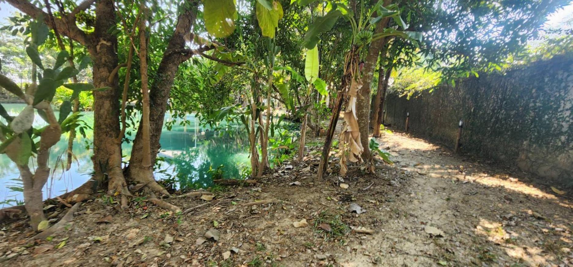 Tung Tong & Bed & Breakfast Mae Rim