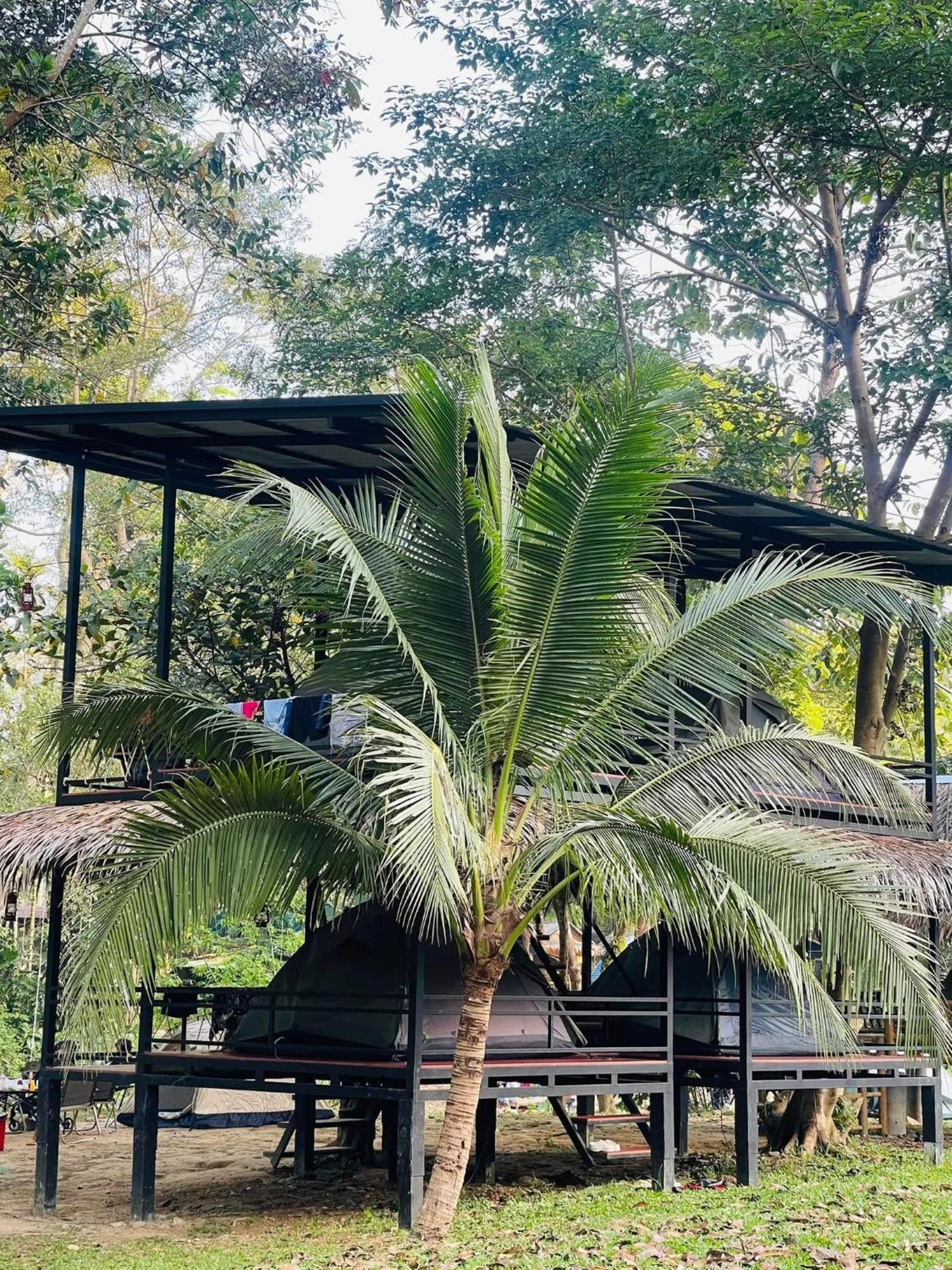 Khaosok Monkeys & River Camps Resort