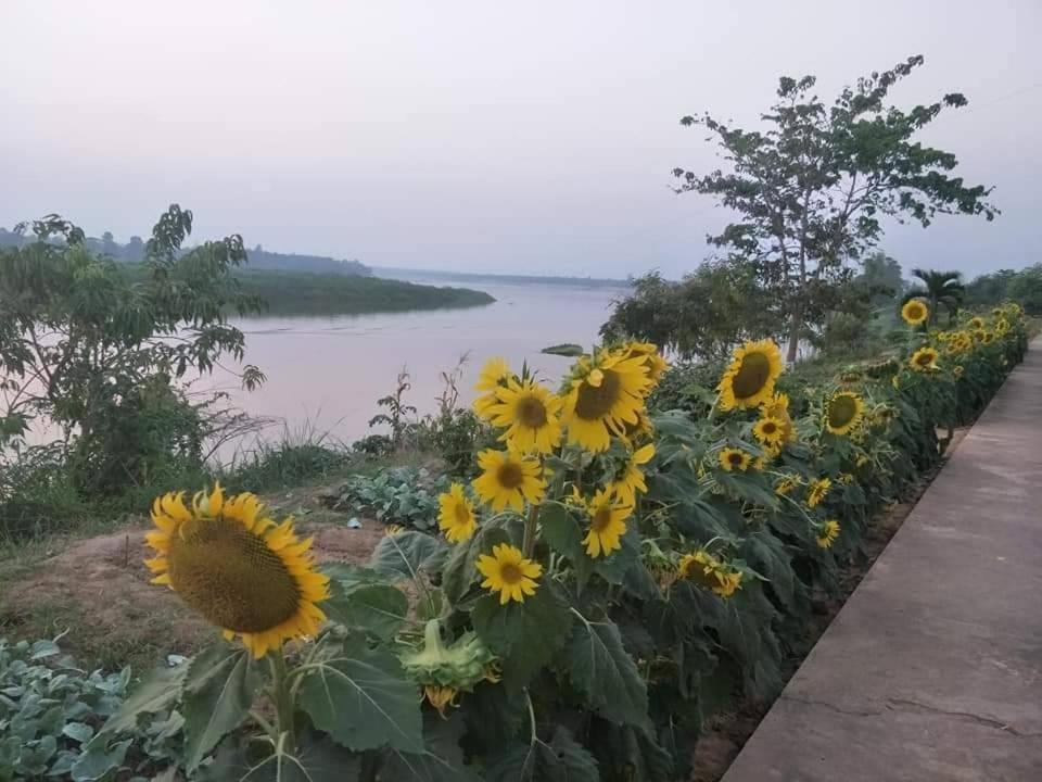 Kongkhamkoon Ban Nong Chaeng (Phetchabun)