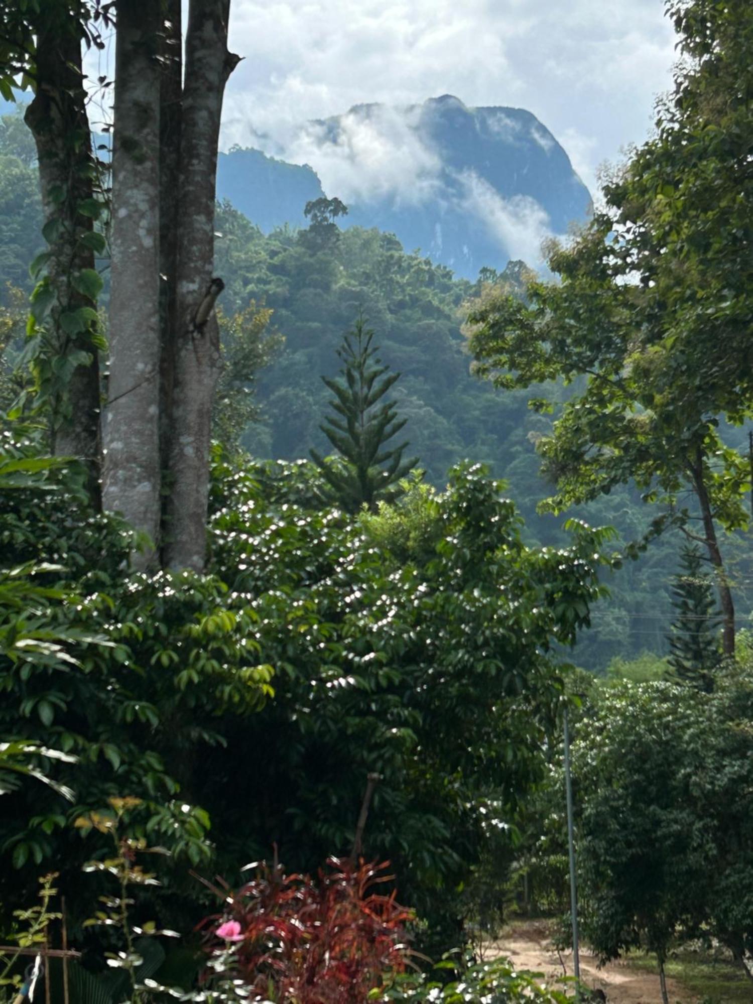 At Chiang Dao, Pooch Lovers 2* Ban Tham (Chiang Dao)