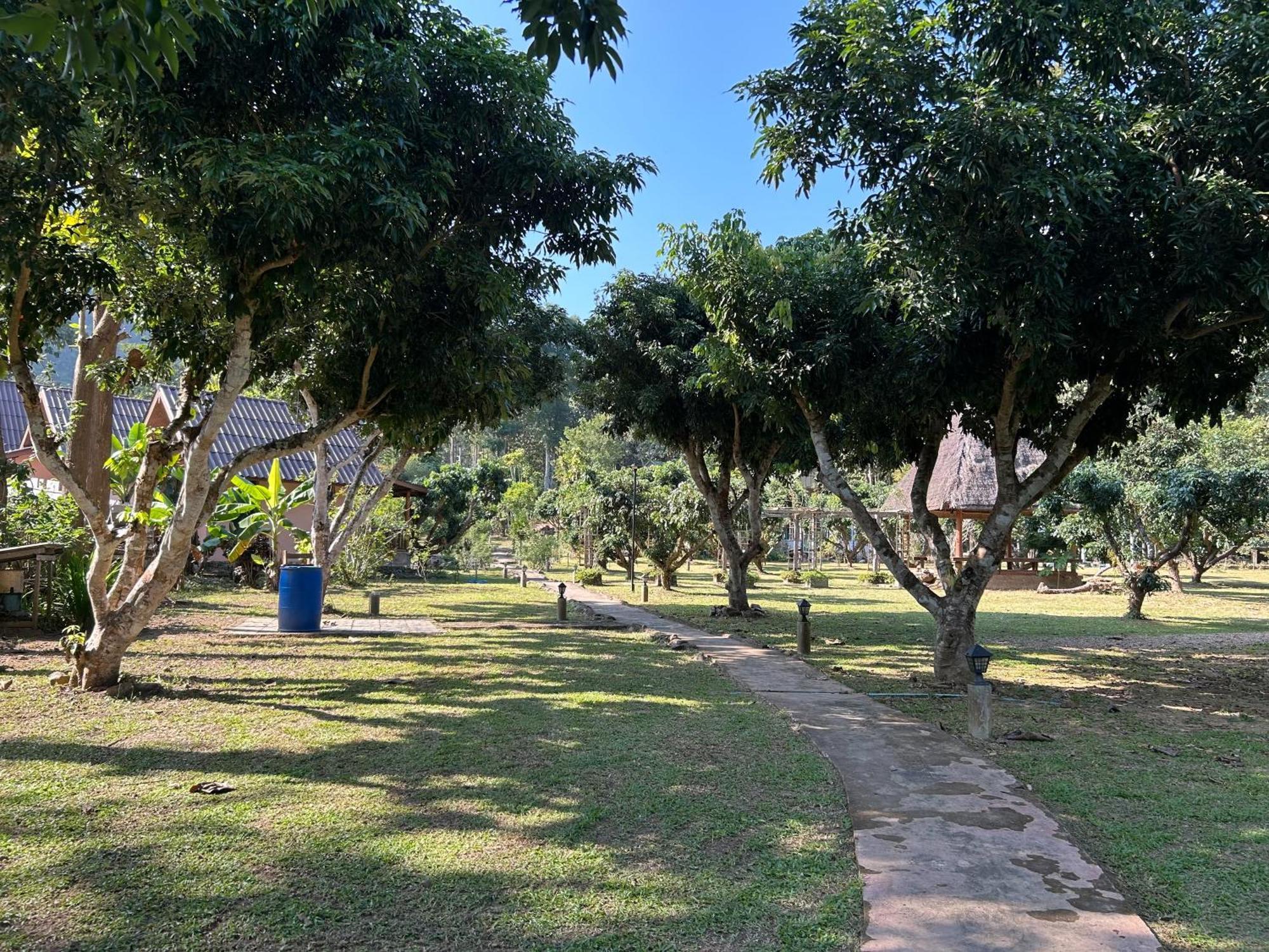 Resort At Chiang Dao, Pooch Lovers