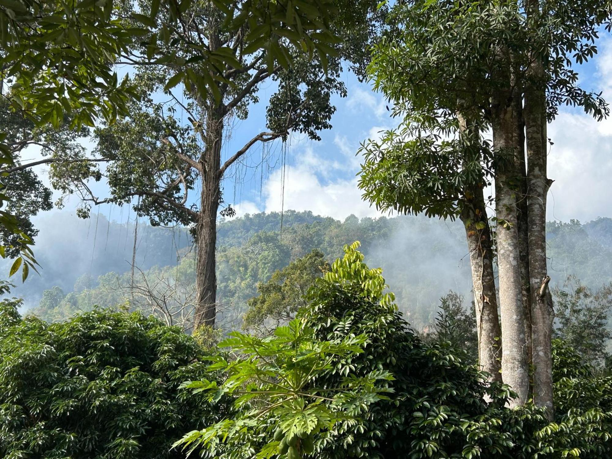 Resort At Chiang Dao, Pooch Lovers 2*