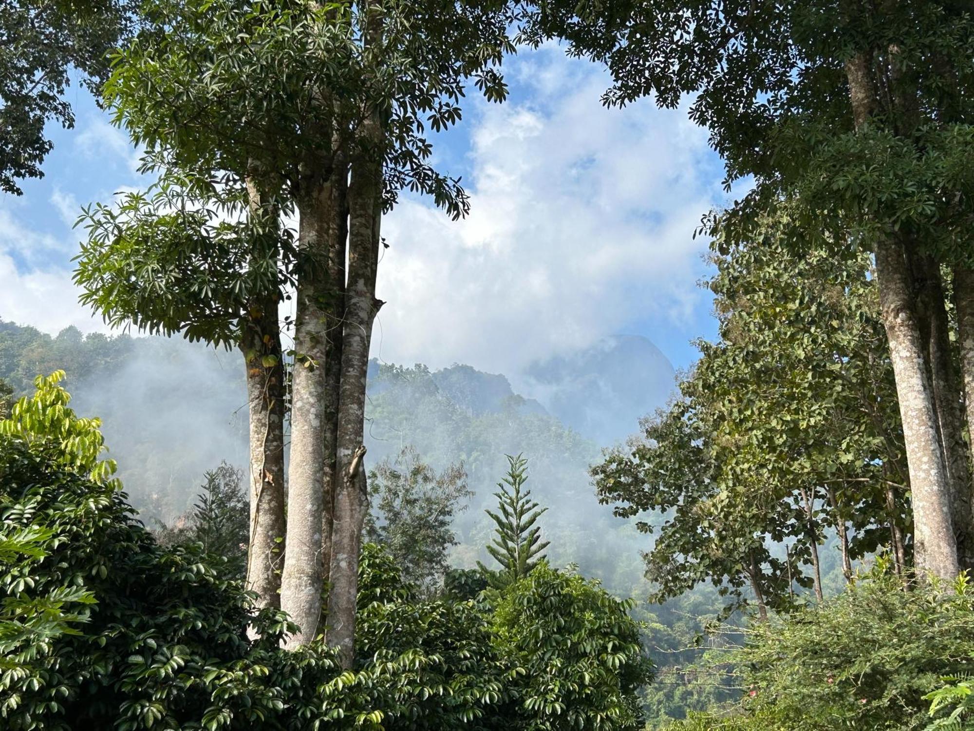 At Chiang Dao, Pooch Lovers Resort Ban Tham (Chiang Dao)