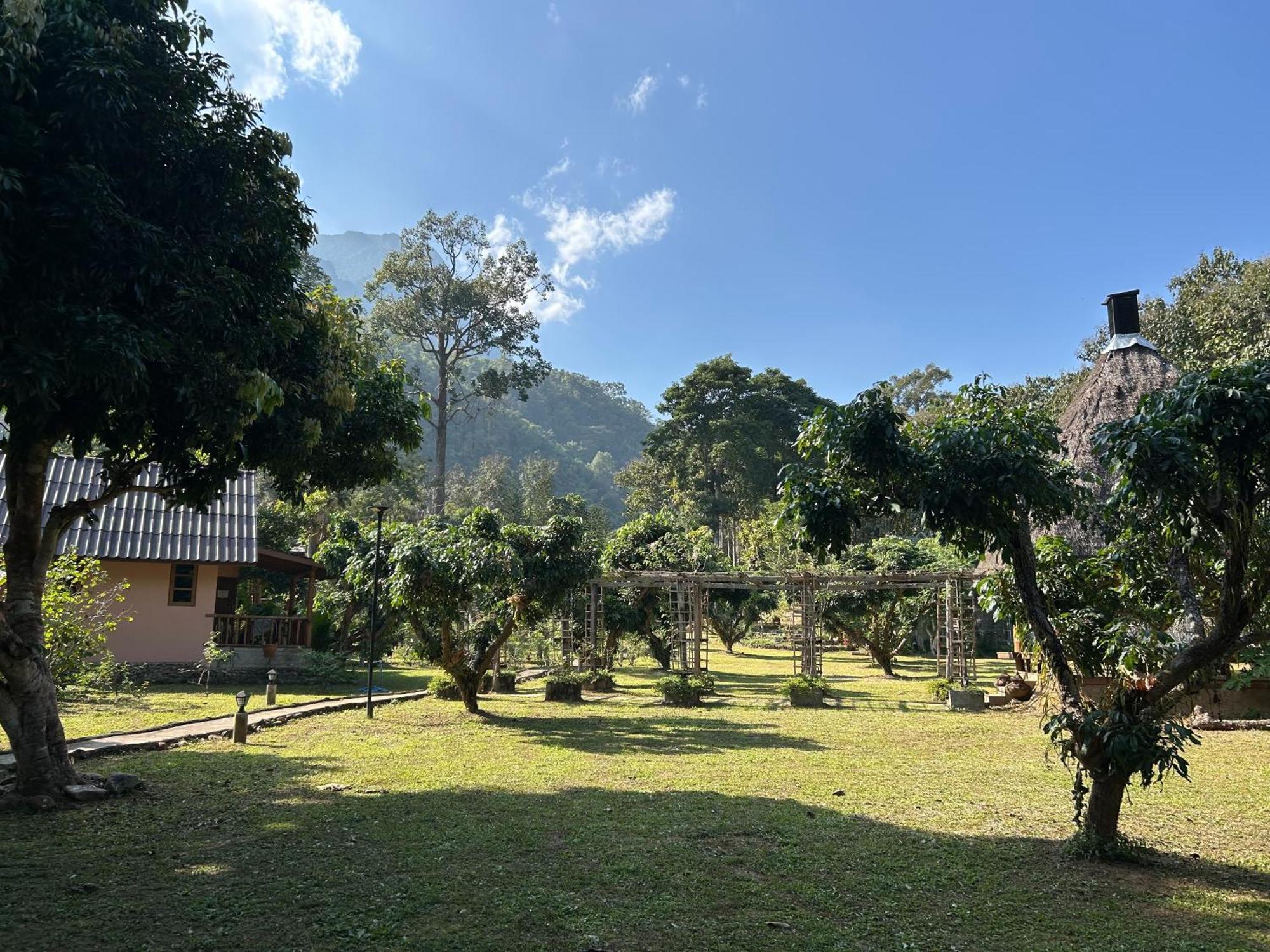 At Chiang Dao, Pooch Lovers