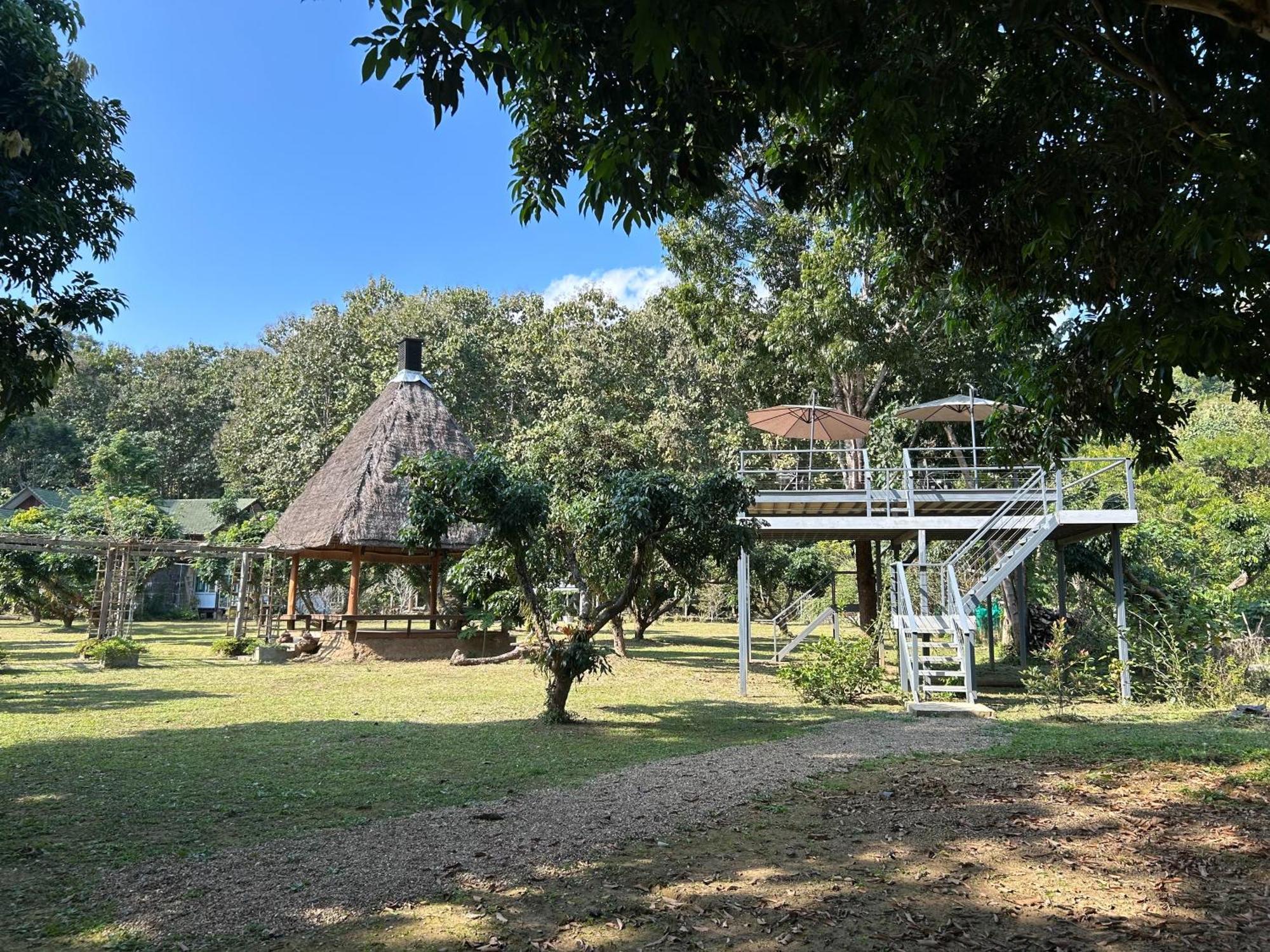 At Chiang Dao, Pooch Lovers Resort