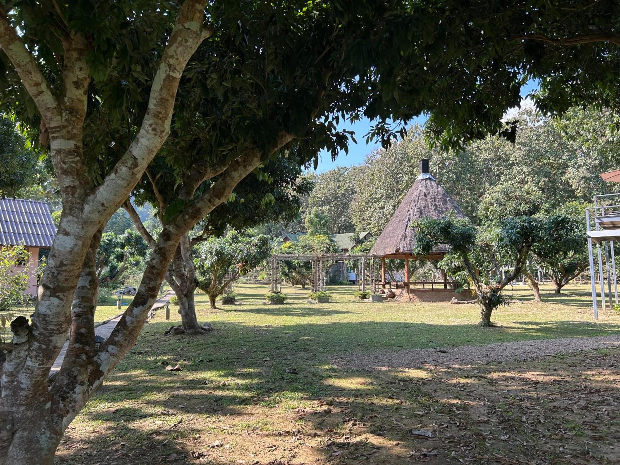 Resort At Chiang Dao, Pooch Lovers
