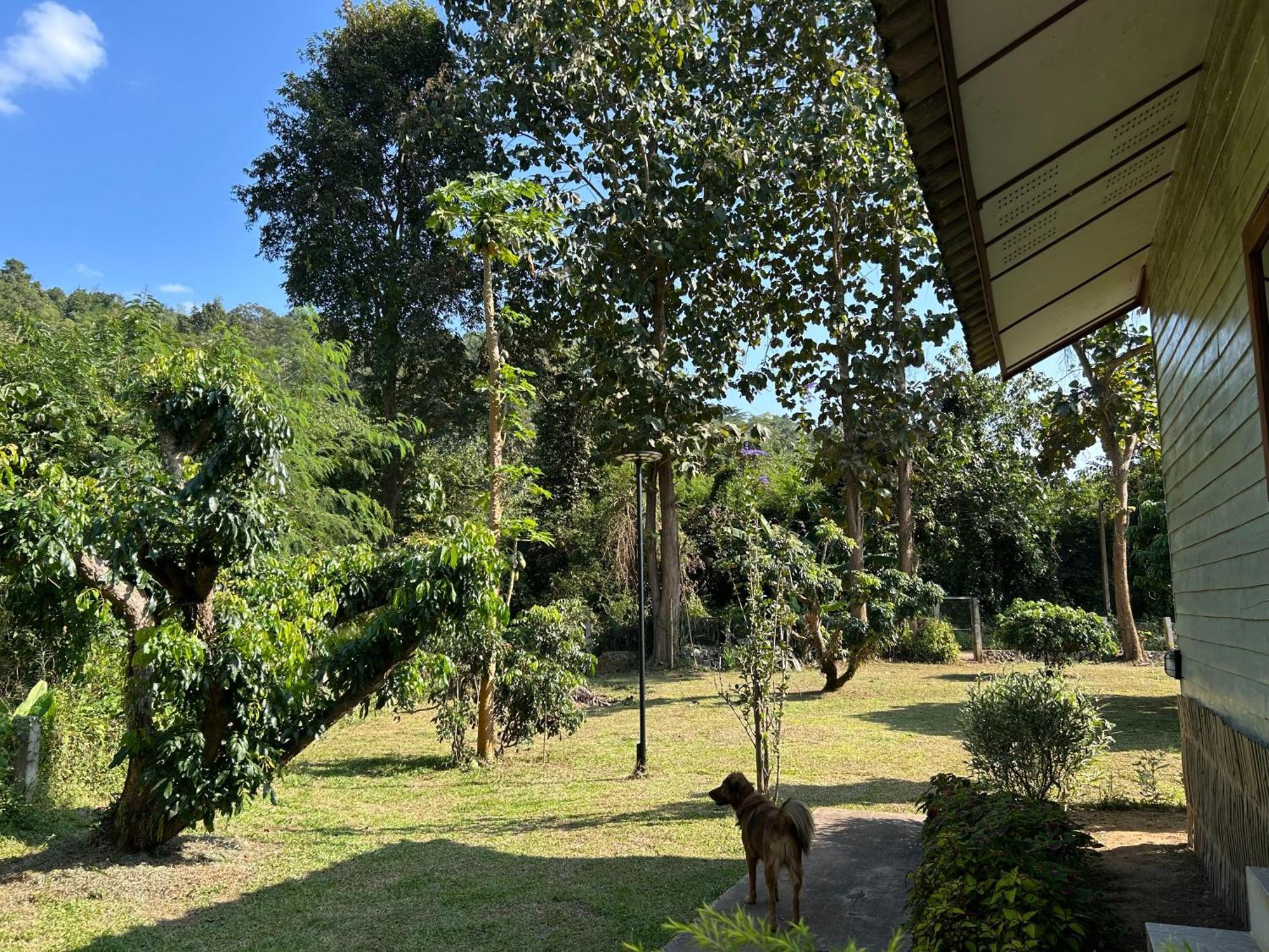 At Chiang Dao, Pooch Lovers 2* Ban Tham (Chiang Dao)