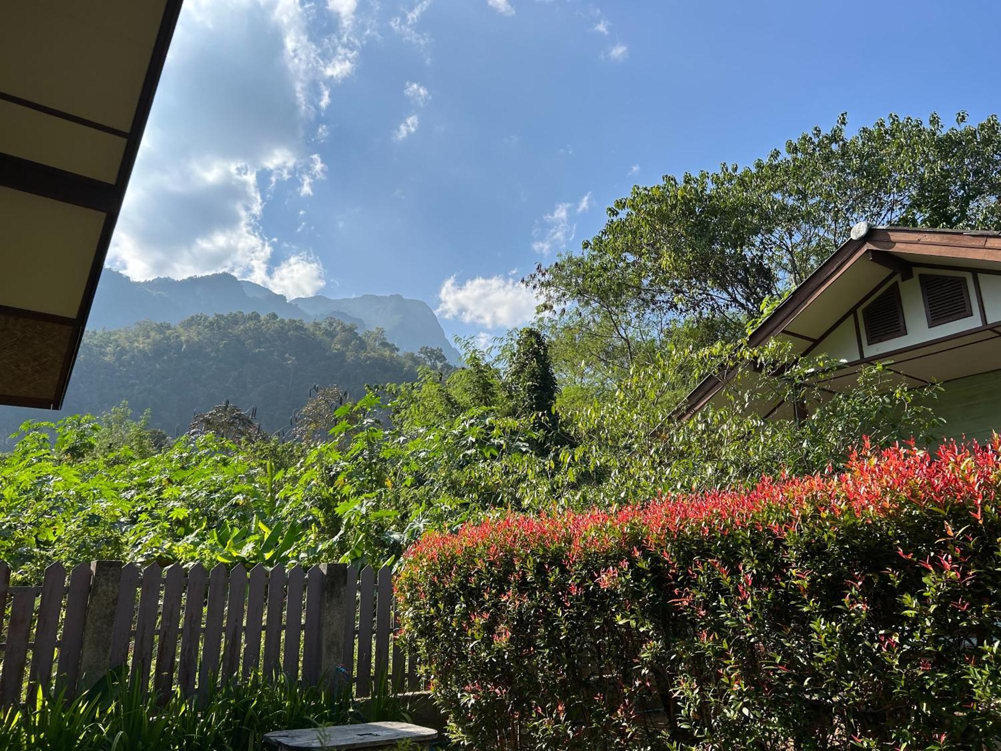 At Chiang Dao, Pooch Lovers Resort