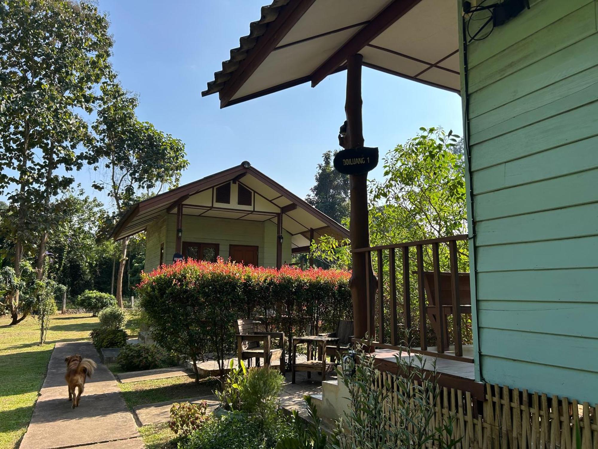 At Chiang Dao, Pooch Lovers Resort 2*
