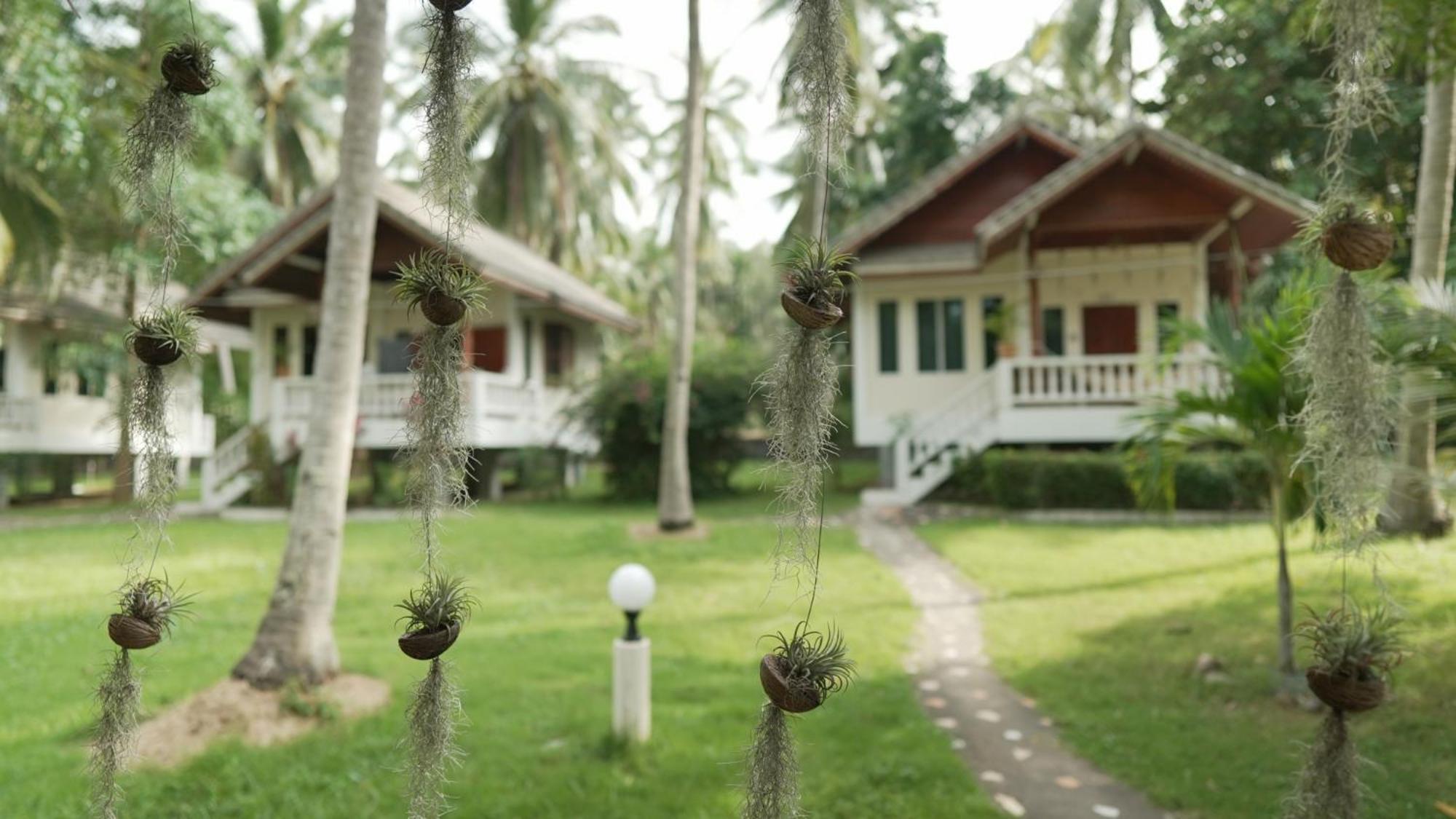 My - Koh Phangan