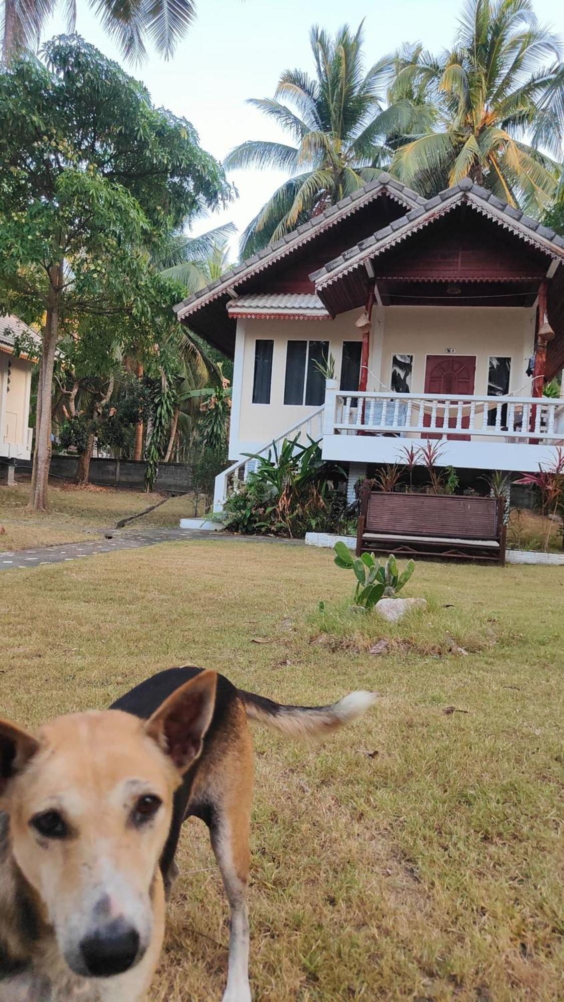 Resort My - Koh Phangan Ban Madua Wan
