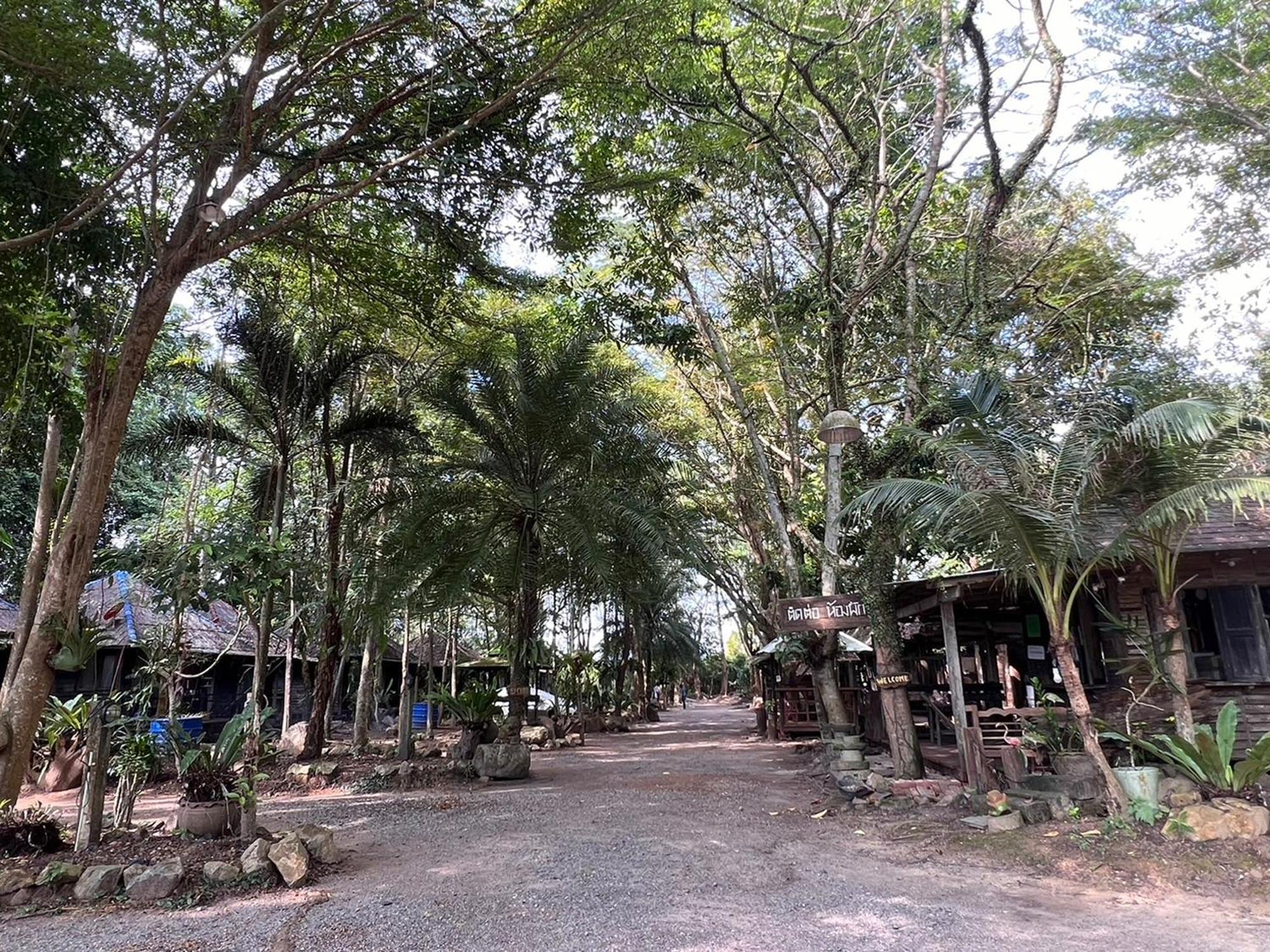 Pang Mai * Songkhla