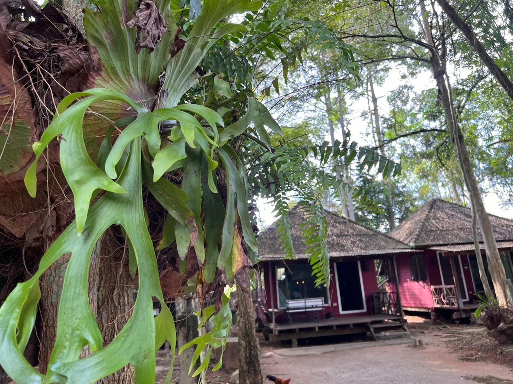 Hotel Pang Mai Songkhla