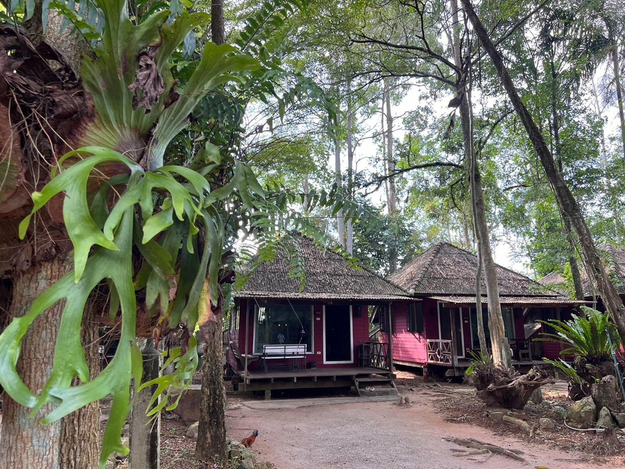Pang Mai Hotel *